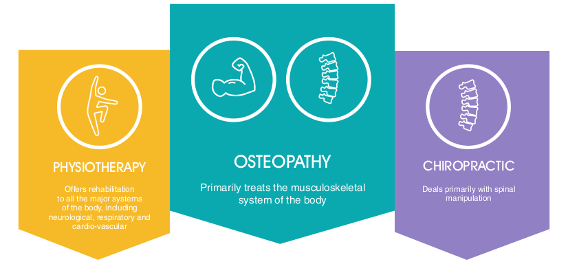 Osteopathy, Physiotherapy, Chiropractic – What’s The Difference?